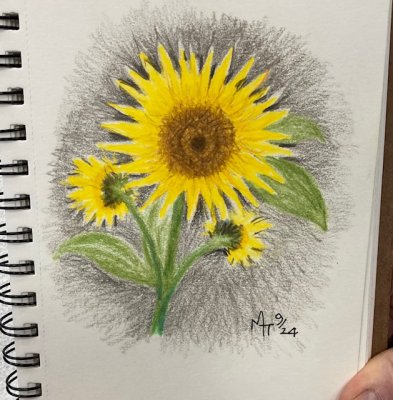 Sunflowers 3